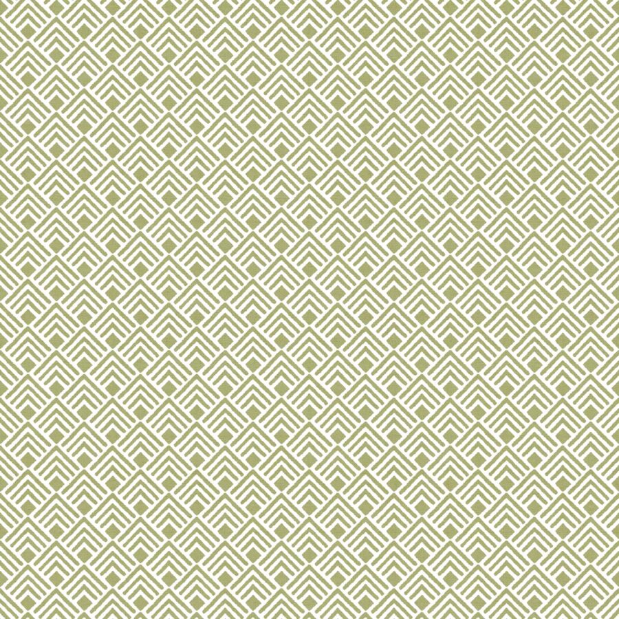 תנועה ירוק1