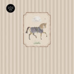 אורס אלגנט 1 213554 (5)