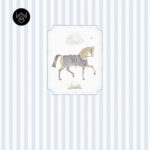 אורס אלגנט 2 213555 (5)