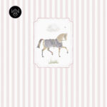 אורס אלגנט 3 213556 (5)