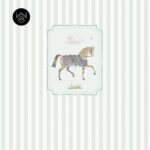 אורס אלגנט 4 213557 (5)