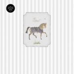 אורס אלגנט 5 213558 (4)