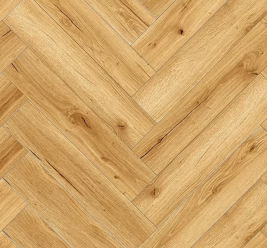 צילום מסך 2026 01 08 183923