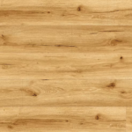 צילום מסך 2026 01 08 190709