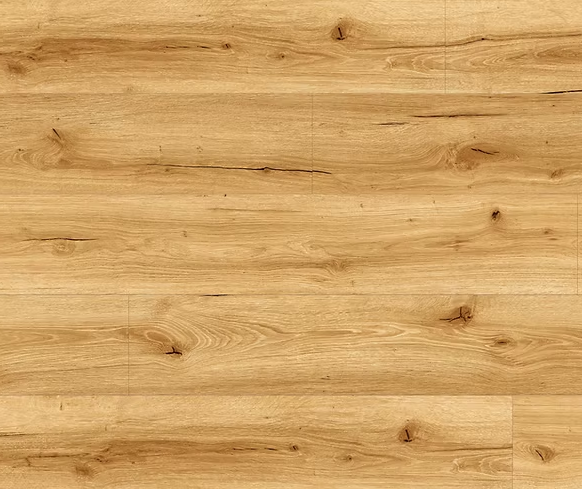 צילום מסך 2026 01 08 190709