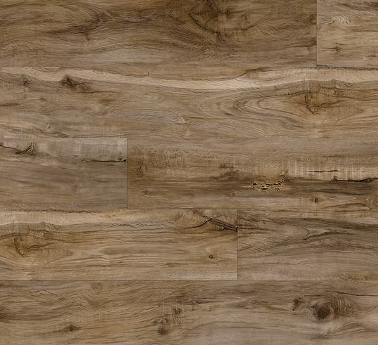 צילום מסך 2026 01 08 191026