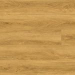 צילום מסך 2026 01 08 191138