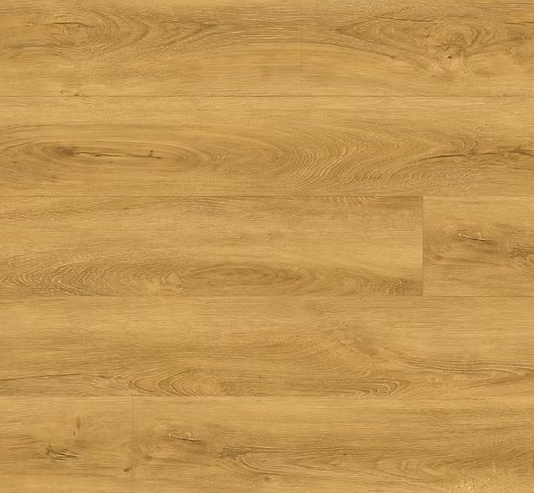 צילום מסך 2026 01 08 191138