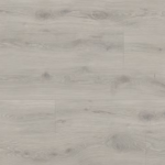 צילום מסך 2026 01 08 191321