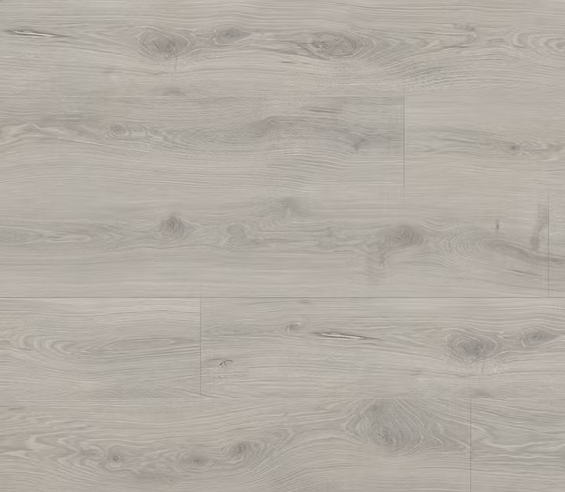 צילום מסך 2026 01 08 191321