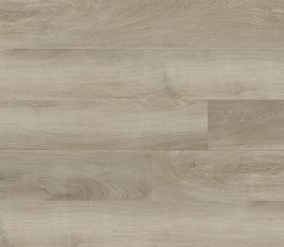 צילום מסך 2026 01 08 191410