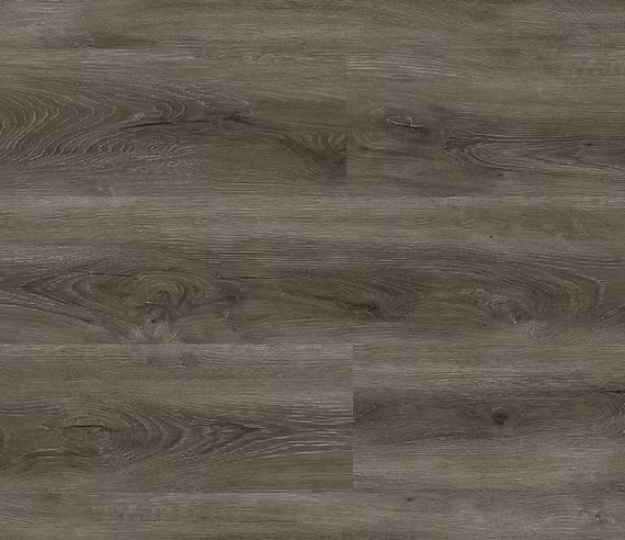 צילום מסך 2026 01 08 192223