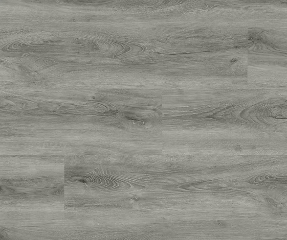 צילום מסך 2026 01 08 192409