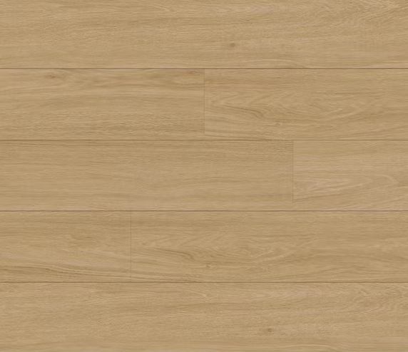 צילום מסך 2026 01 08 192536