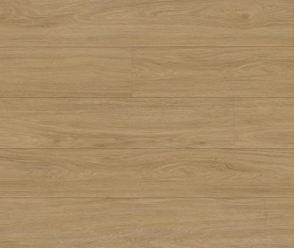 צילום מסך 2026 01 08 192703