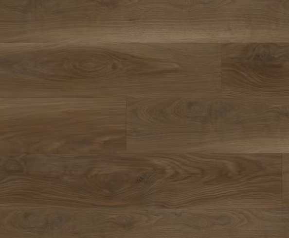 צילום מסך 2026 01 08 192821