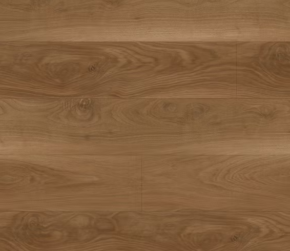 צילום מסך 2026 01 08 192935