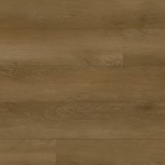 צילום מסך 2026 01 08 193043