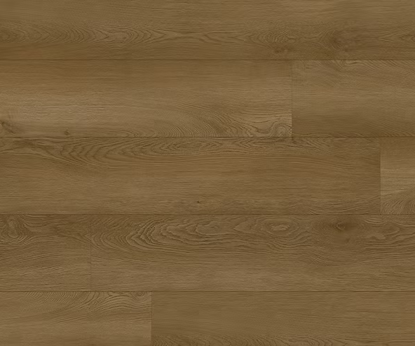 צילום מסך 2026 01 08 193043