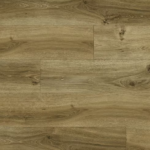 צילום מסך 2026 01 08 193501