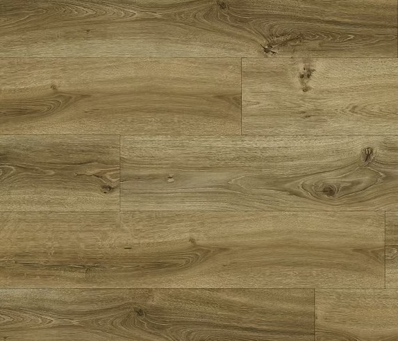 צילום מסך 2026 01 08 193501