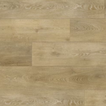 צילום מסך 2026 01 08 193658