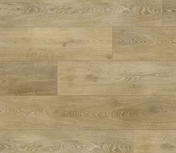 צילום מסך 2026 01 08 193658