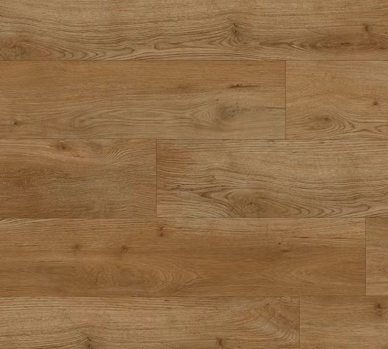 צילום מסך 2026 01 08 193821