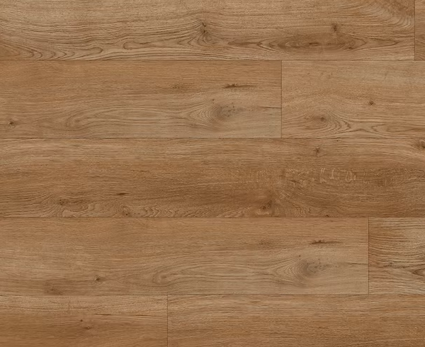 צילום מסך 2026 01 08 193921