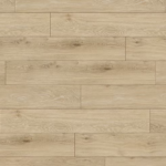 צילום מסך 2026 01 08 194112