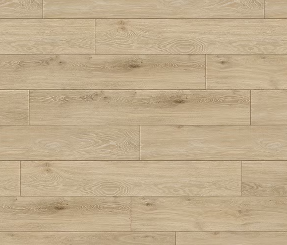 צילום מסך 2026 01 08 194112