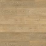 צילום מסך 2026 01 08 194510