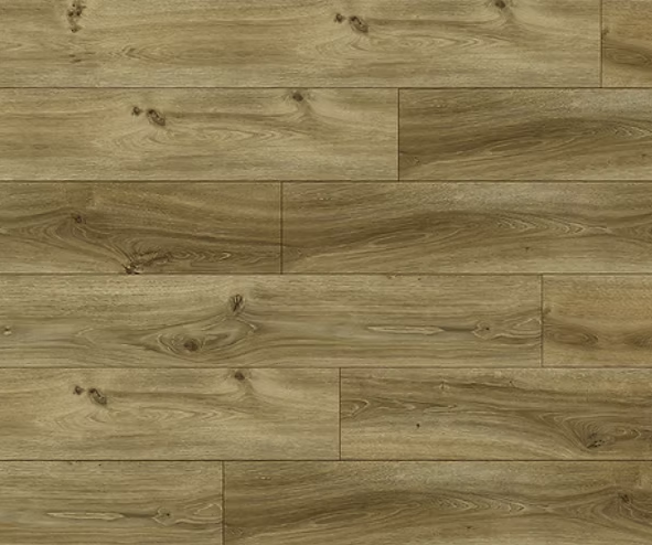 צילום מסך 2026 01 08 194805