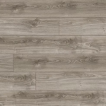 צילום מסך 2026 01 08 200308