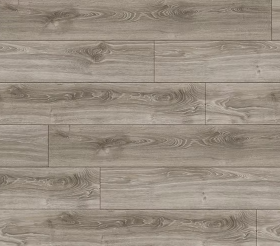 צילום מסך 2026 01 08 200308