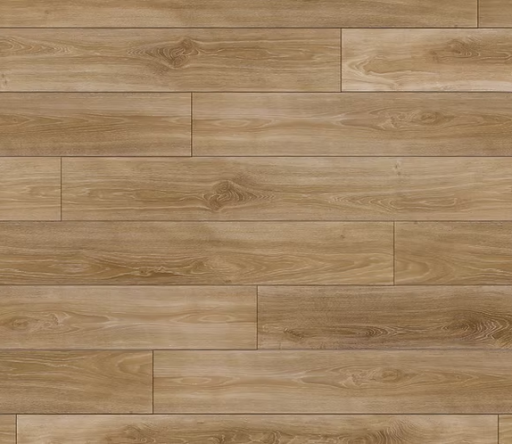 צילום מסך 2026 01 08 200544