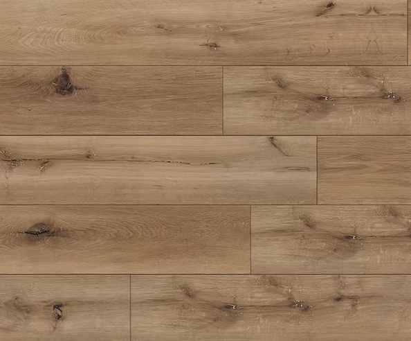 צילום מסך 2026 01 08 200943