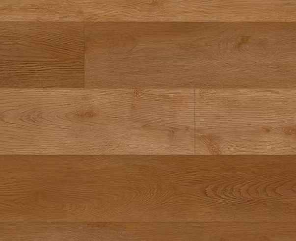 צילום מסך 2026 01 08 201430