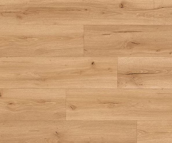 צילום מסך 2026 01 08 202712