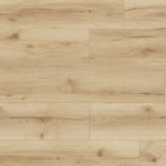 צילום מסך 2026 01 08 202829