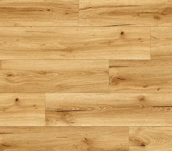 צילום מסך 2026 01 08 202920