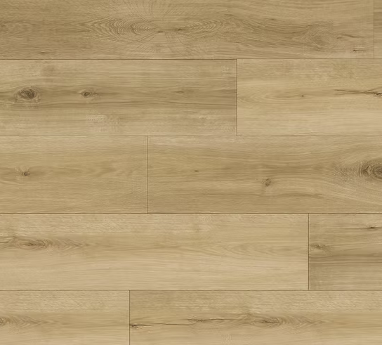 צילום מסך 2026 01 08 203043