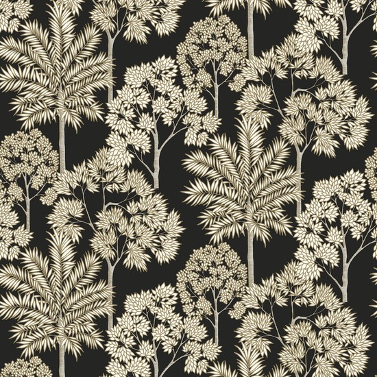 302 יער שחור1