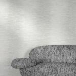 אפור בהיר ראשי