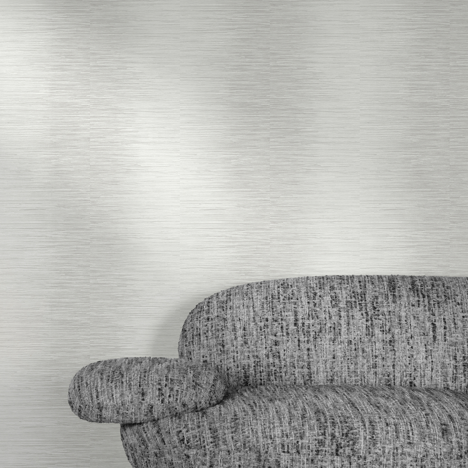 אפור בהיר ראשי