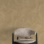 ווש חרדל ראשי