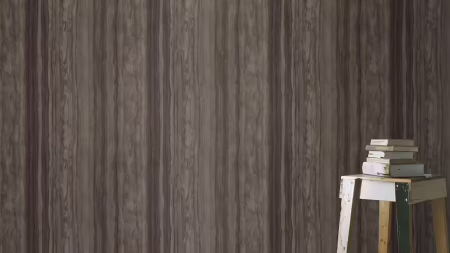 טרו שחור ראשי