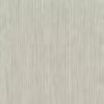 רט אפור בהיר1