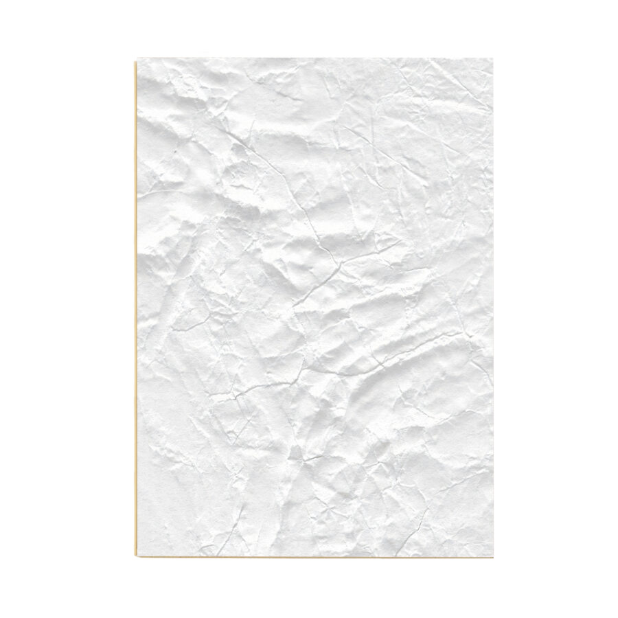 אבן אלסטית מסלעה (1)