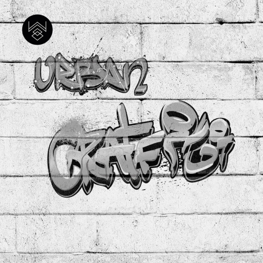 גרפיטי בריקים 2 213601 (5)